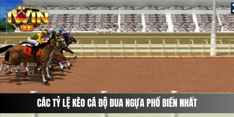 Các tỷ lệ kèo cá độ đua ngựa phổ biến nhất
