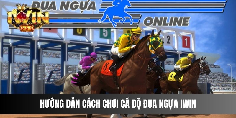 Hướng dẫn cách chơi cá độ Đua Ngựa IWIN online